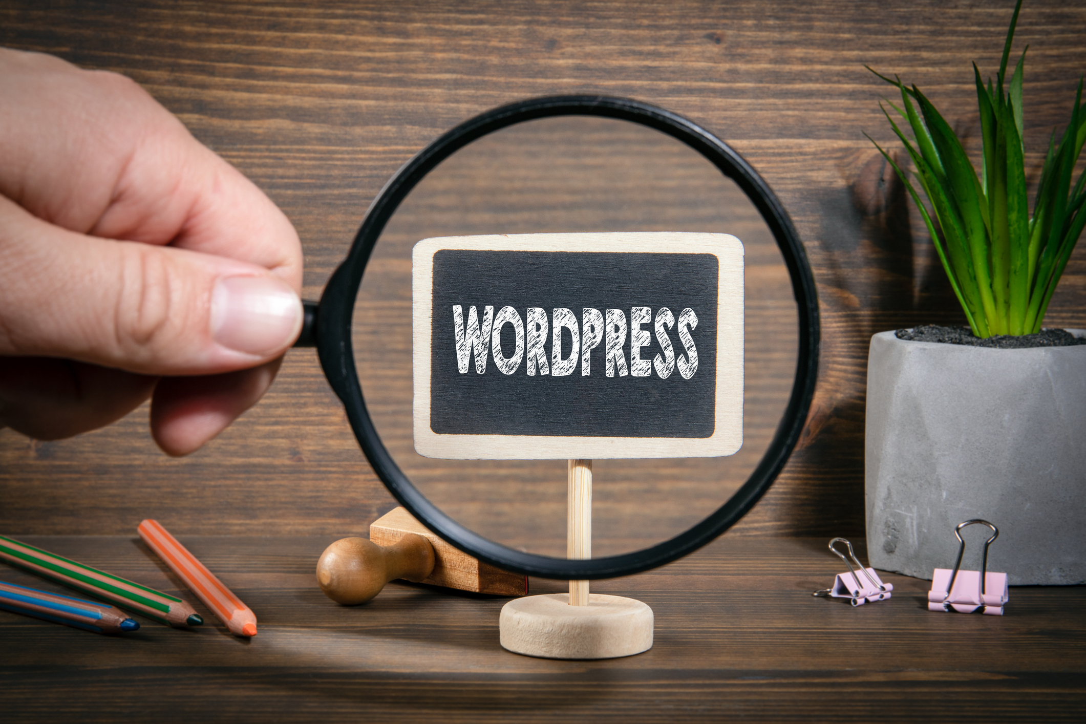 reach more visitors with wordpress