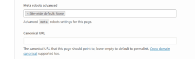 Yoast - Meta robots advanced