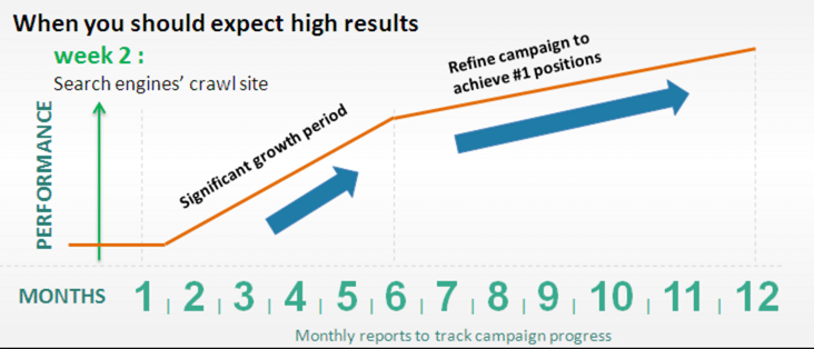 SEO timeframe