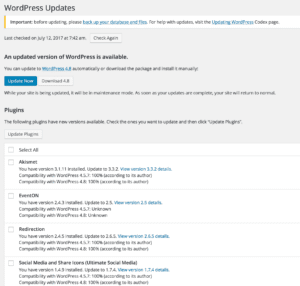 Wordpress Update Screen