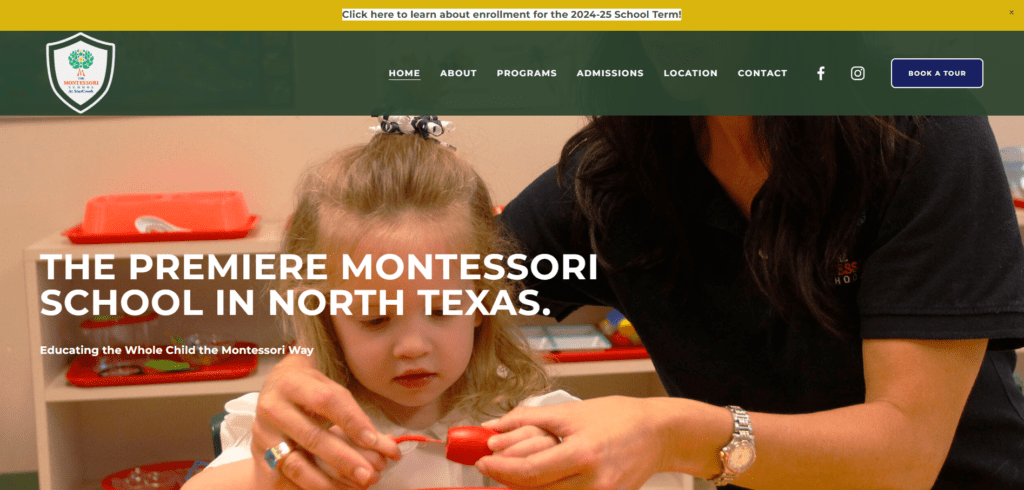 The Montessori School - Website Design